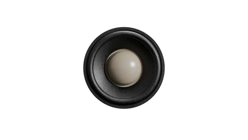 Il trasduttore full-range da 2,5 pollici SPIXEL, visto di fronte