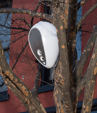 Powersoft Deva unit mounted on a tree in front of a brick building